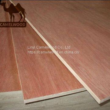 Hot sales high quality commercial plywood for decoration