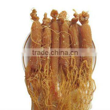Red Ginseng Root / Panax Ginseng / Ninjin / Insam With Tail Tonic Body photo-4