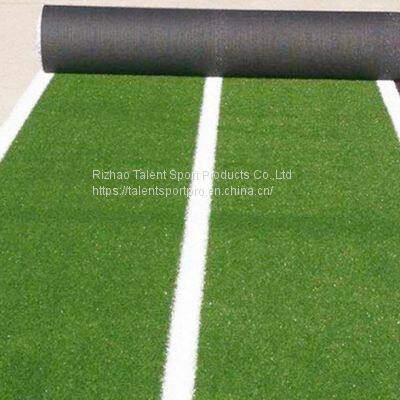 25mm Gym Artificial Grass