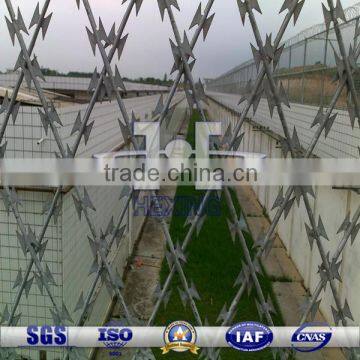 Galvanized Welded Razor Barbed Wire Fence