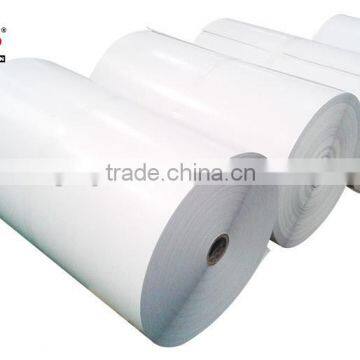 Silicone Paper/PE Coated Paper photo-2