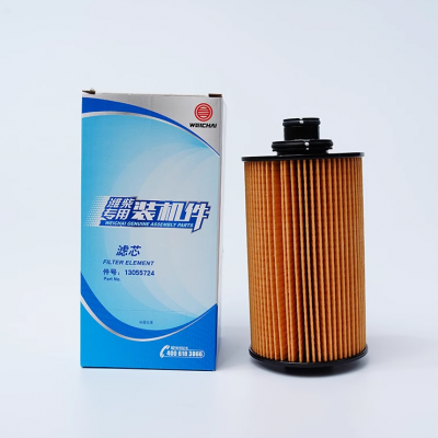 High Quality New Condition WP6G Engine Oil Filter 13055724 Designed for Construction Machinery Parts