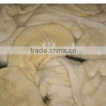 High Quality Frozen Beef Tripe & Honeycomb photo-1