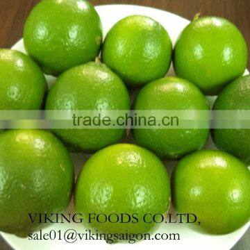 FRESH SEEDLESS LIME _ GOOD PRICE _ HIGH QUALITY