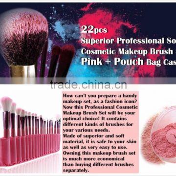 Cute 22pcs Superior Professional Soft Small Makeup Brush Set + Pouch Bag Case Cosmetic Brush