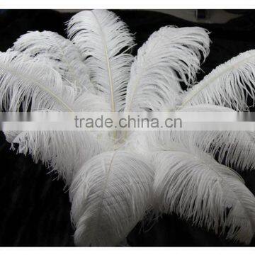 Professional cleaning supply Extendable Ostrich feather duster office workplace with white color