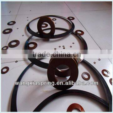 Stainless Steel Disc Spring