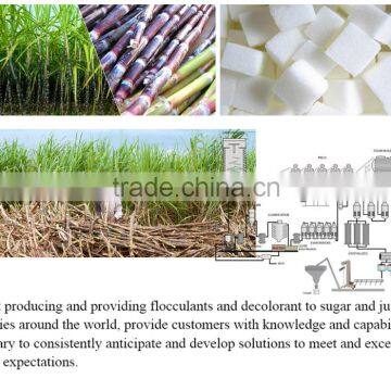 Syrup Decolorizaiton Polymer photo-4