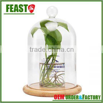 High Borocilicate Clear Glass Dome