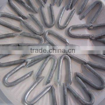 U Staple Nails photo-2