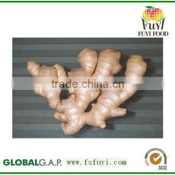 buyer of dry ginger