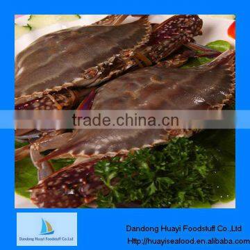 frozen crab blue swimming crab seafood