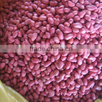 2014 crop Chinese red skin peanut