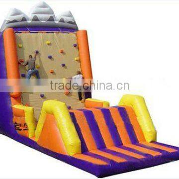 wall climbing / inflatable climing wall