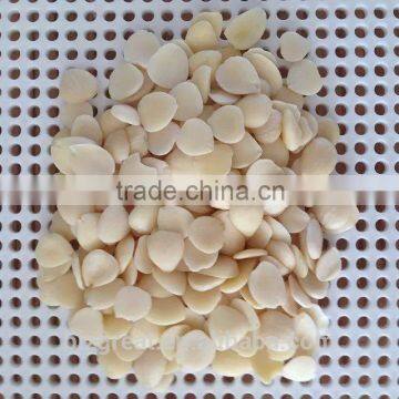 Blanched Bulk Apricot Kernels for Sales
