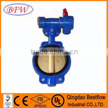 Butterfly Valve With Gear Box