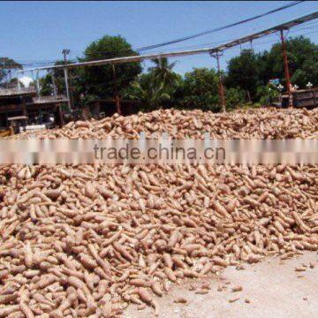 China automatic cassava starch processing line machines