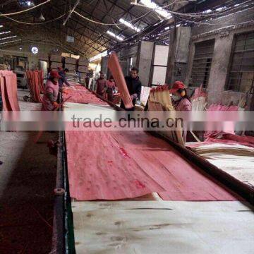 Core Board Forming Fully Automatic Machine Multi-layer Board/plywood Veneer Paving Machine photo-2