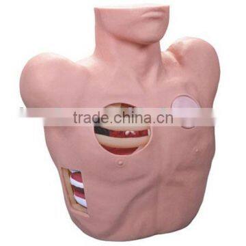 Thoracentesis Drainage Model