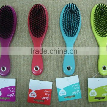 All sorts of color wooden Pet brush