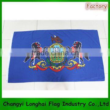 Custom promotion banner flag