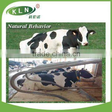 KLN Cow Free Stall