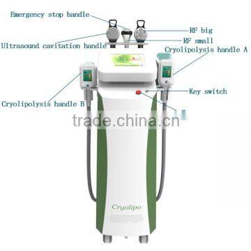 Factoy Directly Best Selling !!2015 New Whole Body Fat Loss Cryolipolysis Fat Freezing Machine photo-2