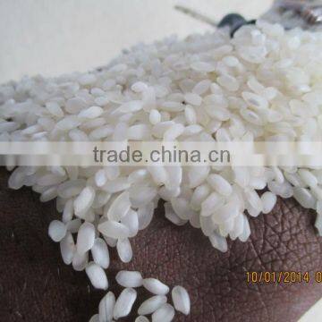 High Quality Idly Rice Supplier in US / UK / Dubai / UAE / Saudi Arabia