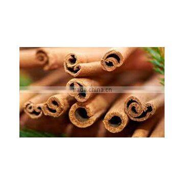 SPICES AND PULSES photo-5