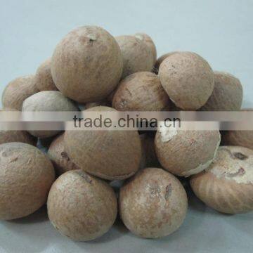 Betel Nut From Viet Nam