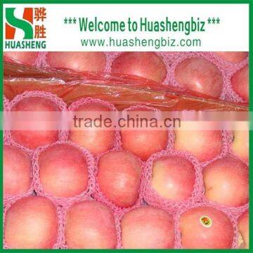 Fresh Apple of High Demand Products Wholesale Prices Apple Fruit