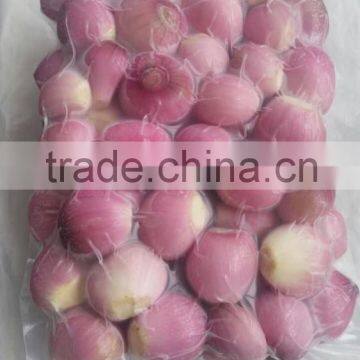 Small Onion Peeled Shallot