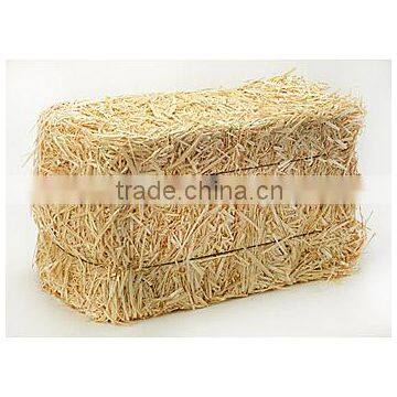 Wheat hay bale, hay straw bale, straw hay bale, cattle feed straw hay, straw bale hay