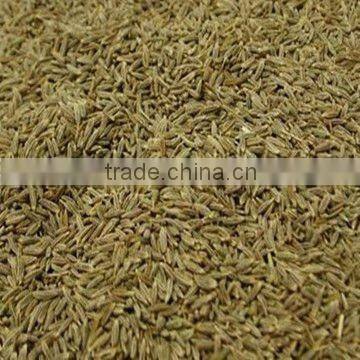 Cumin seed 2011 New crop
