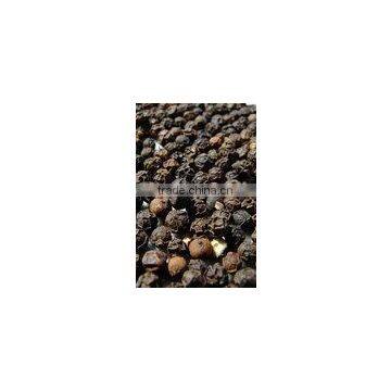 Black Pepper Ground
