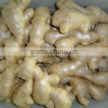 Fresh air dried ginger