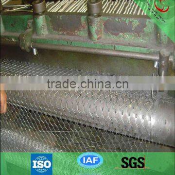 hexagonal wire mesh/1/2 inch hole