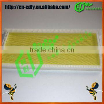 Plastic Bee Frames With Comb Foundation Sheet