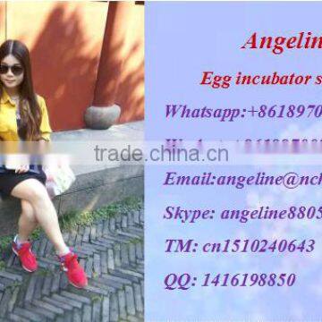 YZ8-48 High Quality Hatching Machine for Chickens Battery Powered photo-6