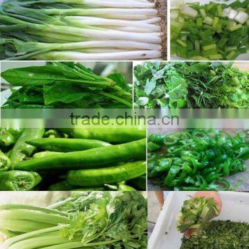 Stainless Steel Vegetable Cutter Machine photo-4