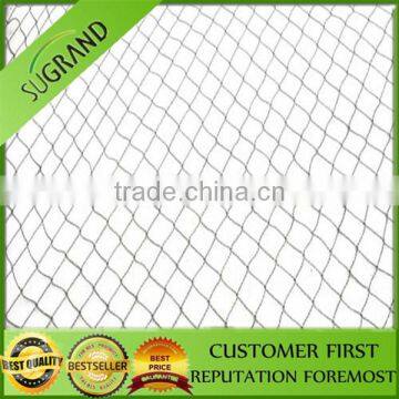 Hot Sale New Material Plastic Anti Bird Nets for Fruit Farm photo-4