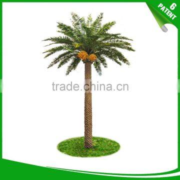 Date Palm Canariensis Tree Street Light Lamps Streetlight photo-5