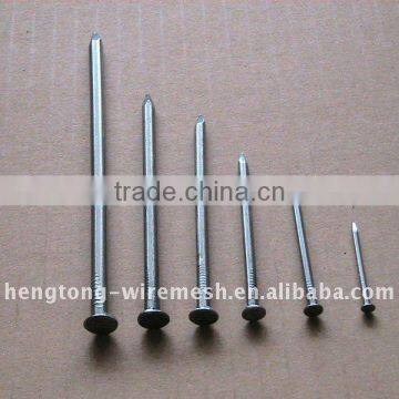 Common Nails Hebei