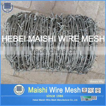 galvanized razor barbed wire