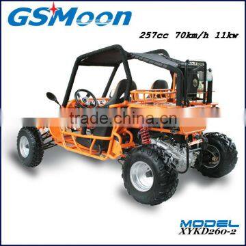 Powerfull China Cheap 250cc EEC go Karts Buggy photo-4