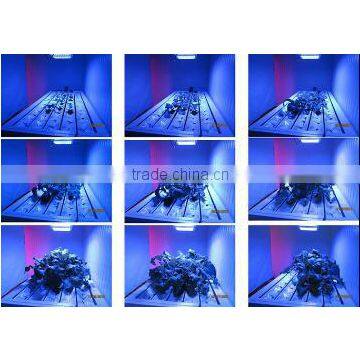 Portable Grow Led 600 for Hospital photo-2