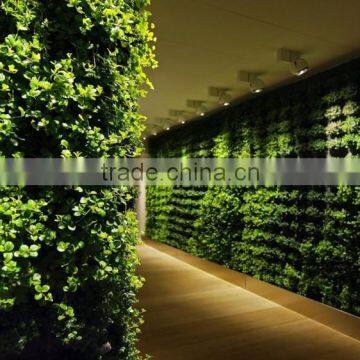 plastic plant wall with leaves/flowers/grass