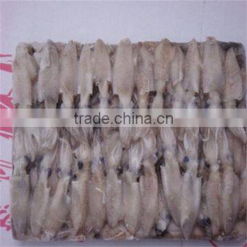 High Sale Seafood BQF Frozen Baby Squid photo-5