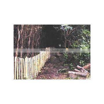 chestnut fence hardwood fence