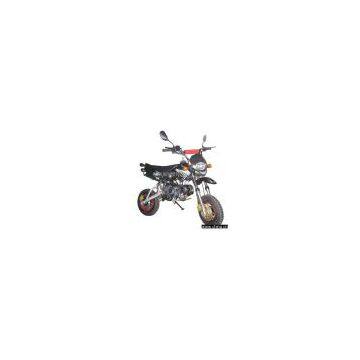 Sell 125cc Pit Bike for Legal Road Use in Europe with COC